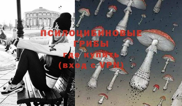 не бодяженный Алзамай