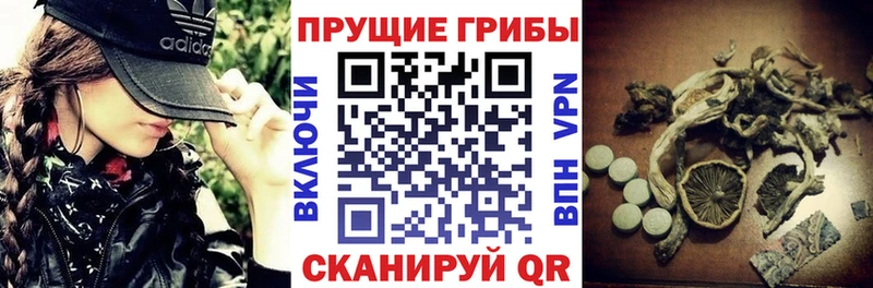 Галлюциногенные грибы GOLDEN TEACHER MEGA ТОР Бодайбо